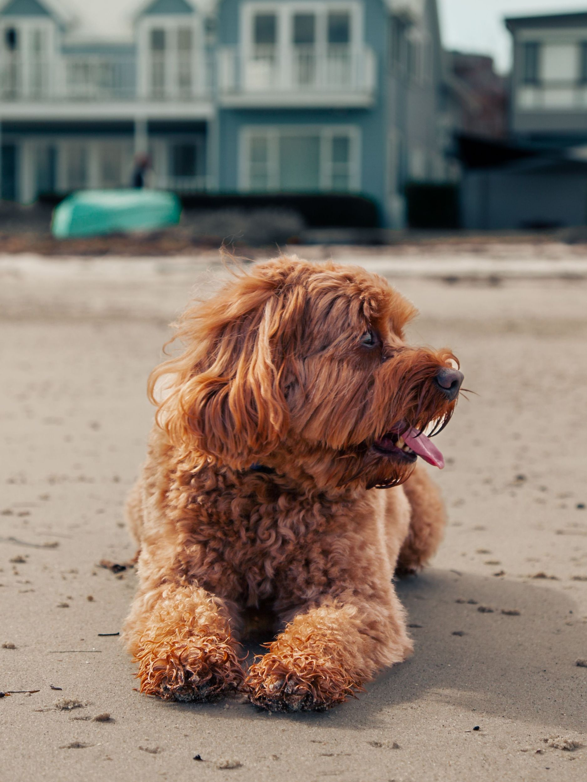 design uden navn (11)