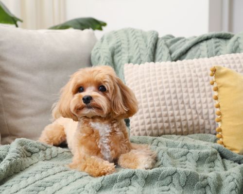 design uden navn (18)