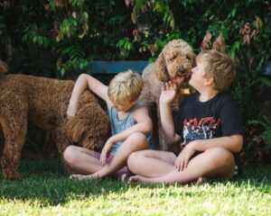 design uden navn (20)