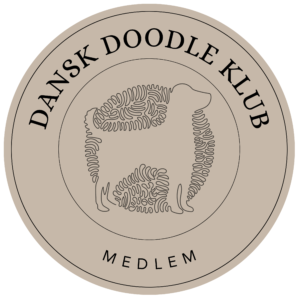 ddk medlem