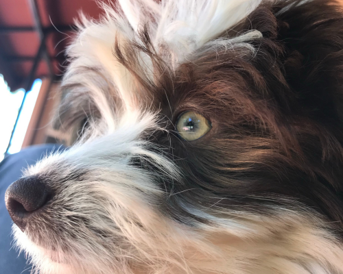 design uden navn 2026 01 01t210836.580