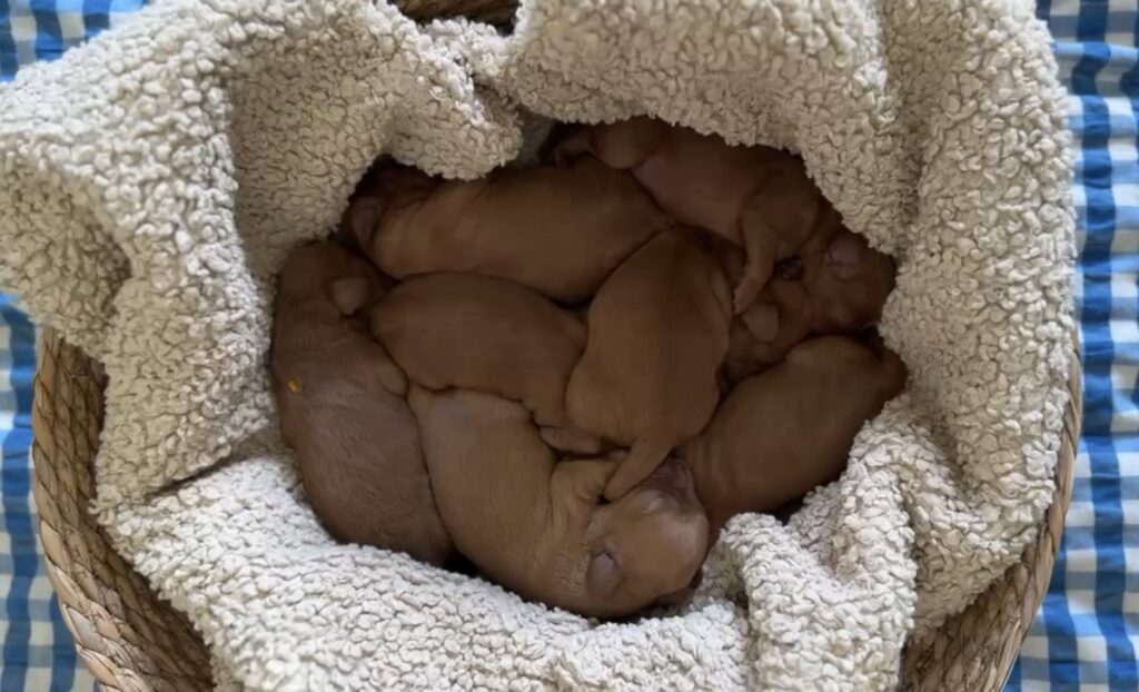 screenshot screenshot